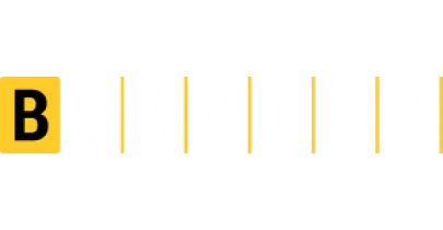 भागीदार जो BlueChip के साथ काम करते हैं