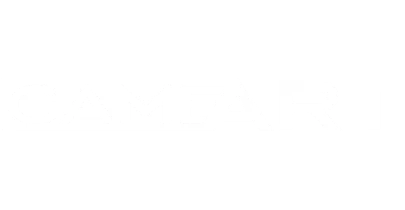 partners who work with BlueChip