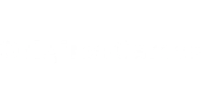 partners who work with BlueChip